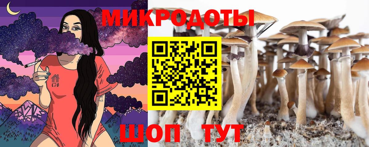 Псилоцибиновые грибы Psilocybe Партизанск